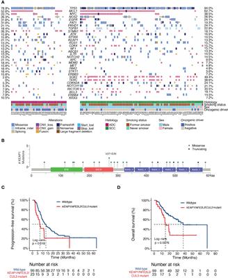 Genomic Profiling Reveals Novel Predictive Biomarkers for Chemo-Radiotherapy Efficacy and Thoracic Toxicity in Non-Small-Cell Lung Cancer